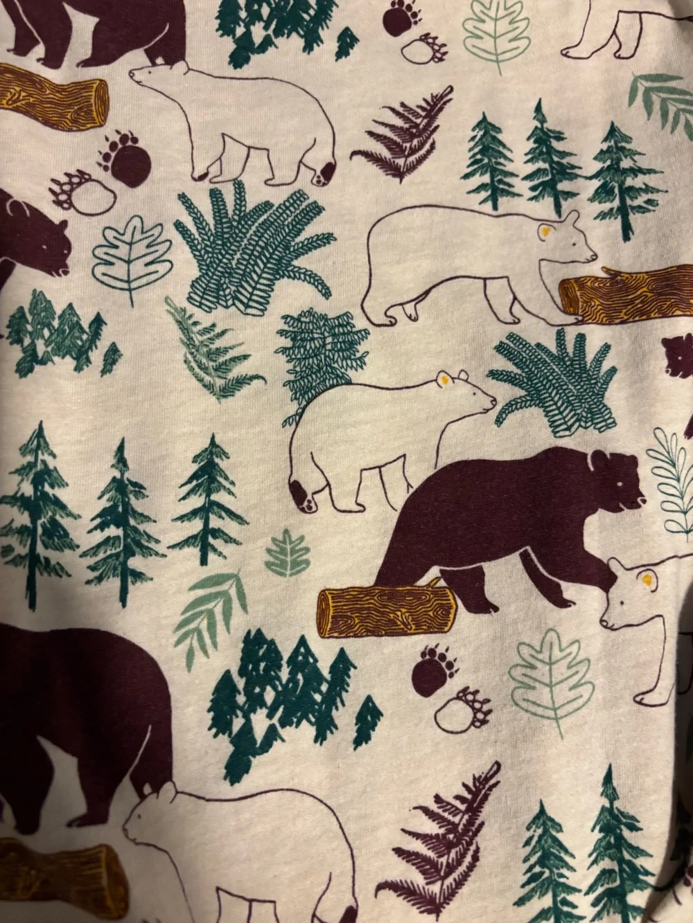 THE CHILDREN’S PLACE Boys’ 4T Set